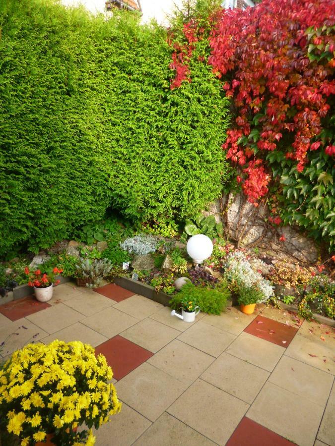 Ferienhaus Anne Thale Ngoại thất bức ảnh